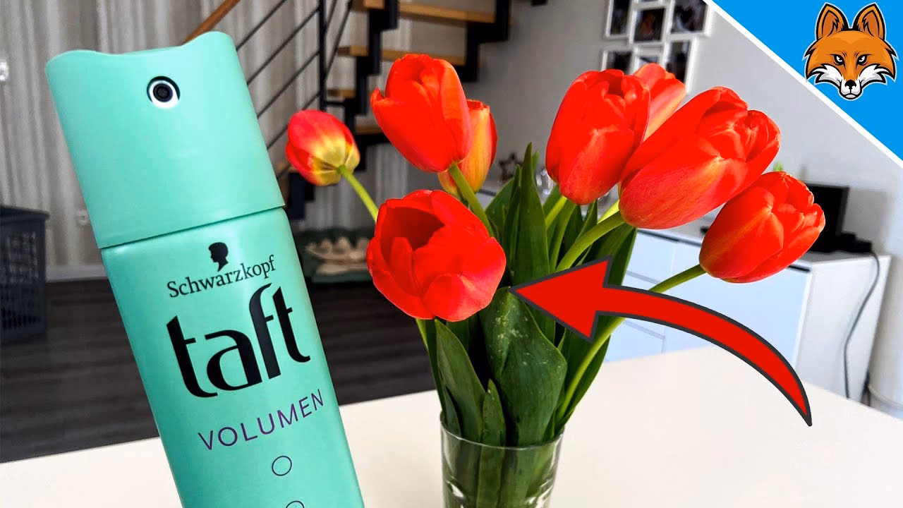 Welche Blumen eignen sich für Haarspray?