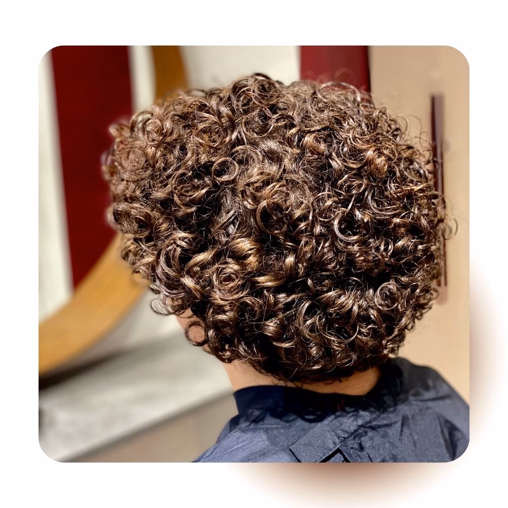 Quel salon de coiffure mixte choisir à Montpellier ?