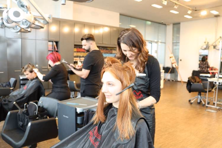 Wie viele Auszubildende hat Klier?