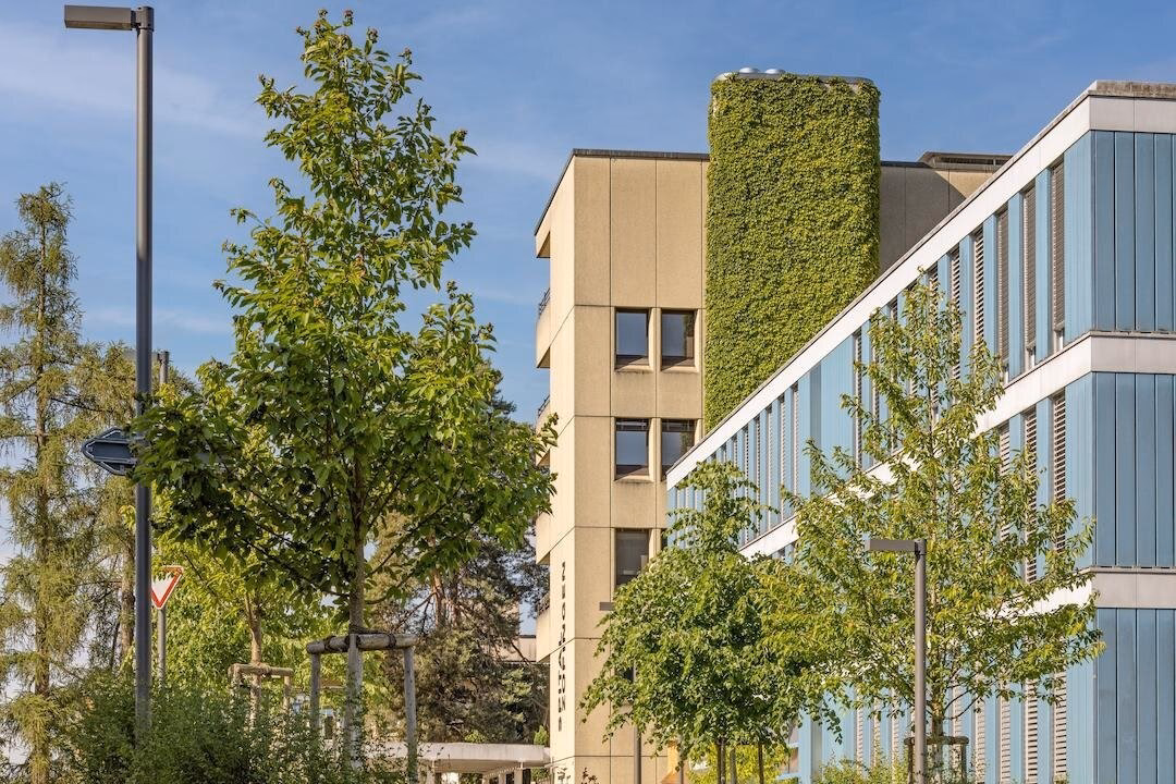 Wie kommt man von Zofingen nach Spital?