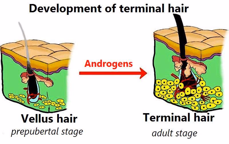 Wie kann ich einen coiffuretermin vereinbaren?