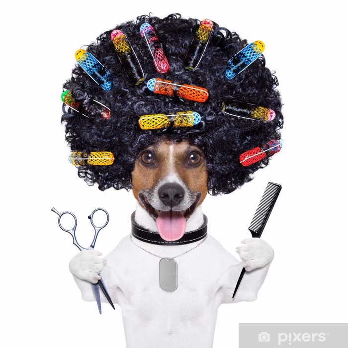 Wie soll das Fell bei langhaarigen Hunden belassen werden?