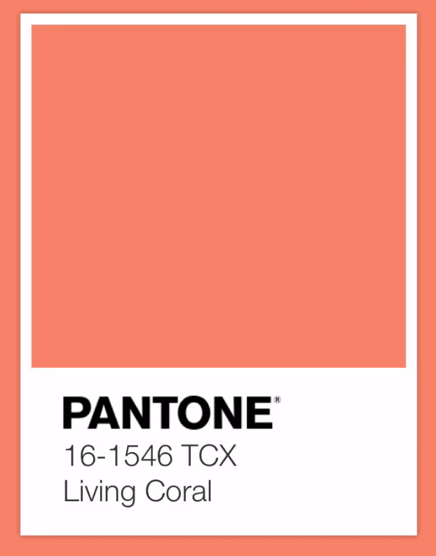 Wie viele Korallenriffe sind vom Aussterben bedroht?