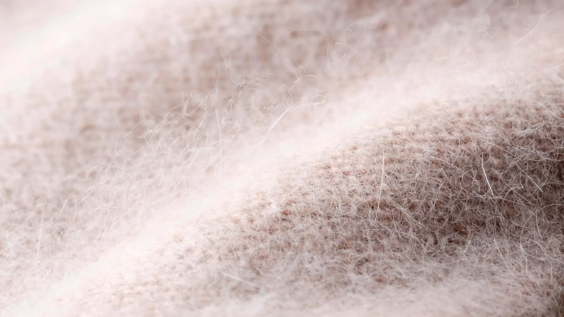 Wie wirkt sich Schaum auf trockene Haare aus?