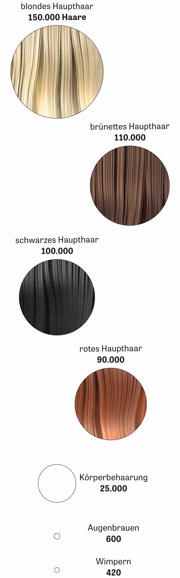 Wie entsteht die Farbe meines Haares?