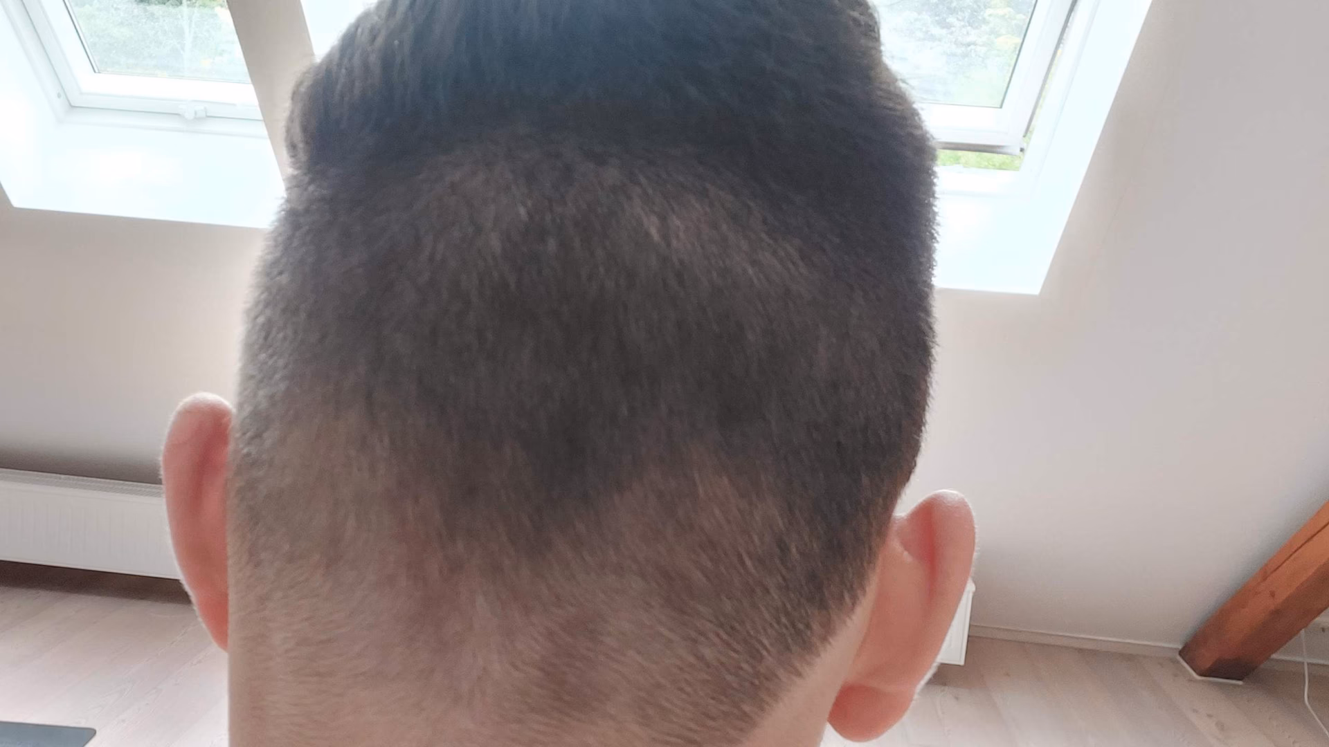 Was tun wenn man den Friseur des Vertrauens nicht gefunden hat?
